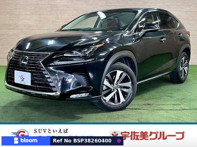 2017 Lexus NX