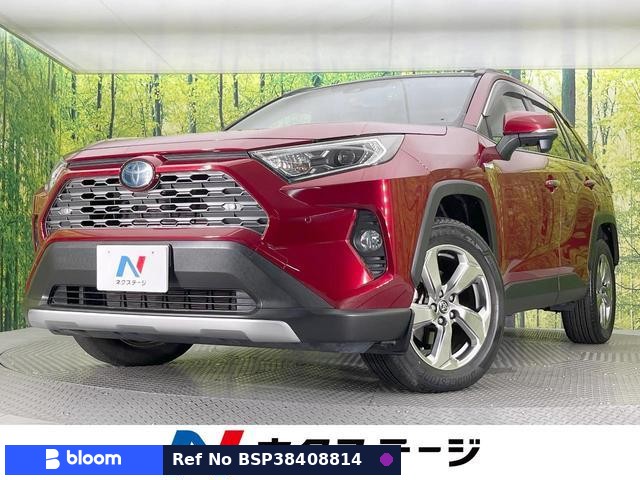 2019 Toyota RAV4