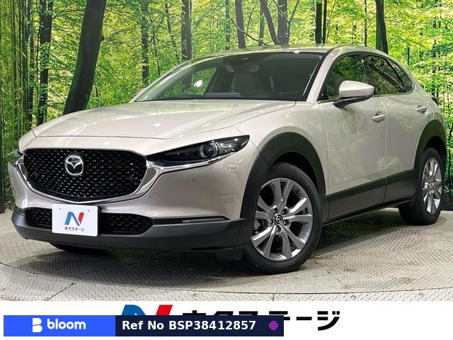 2022 Mazda CX-30