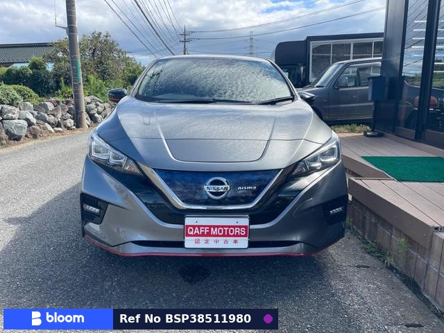 2019 Nissan Leaf