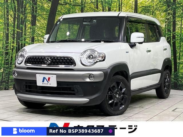 2018 Suzuki X BEE