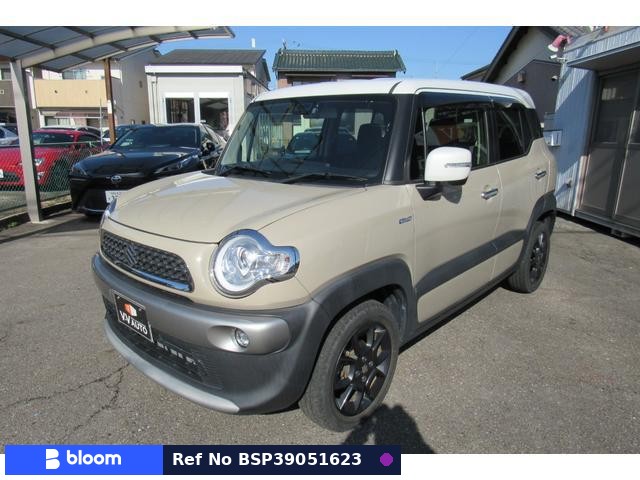 2018 Suzuki X BEE