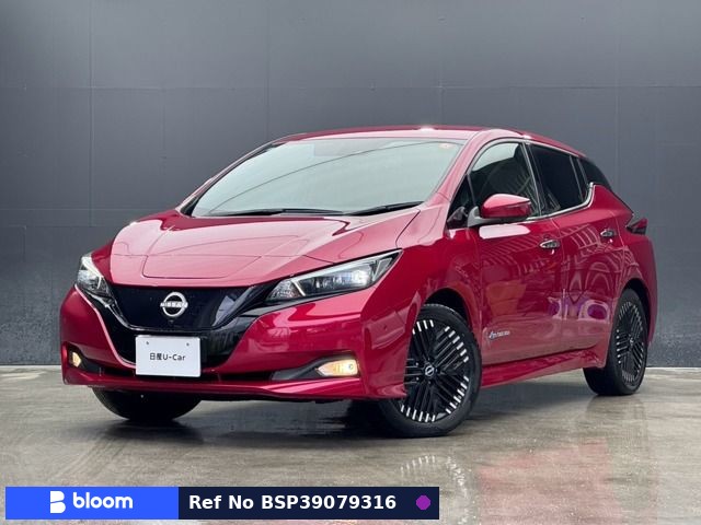 2022 Nissan Leaf