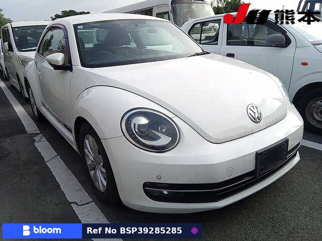 2013 Volkswagen THE Beetle