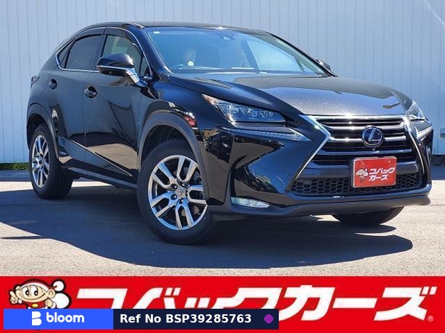2014 Lexus NX