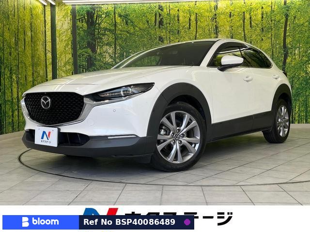 2019 Mazda CX-30
