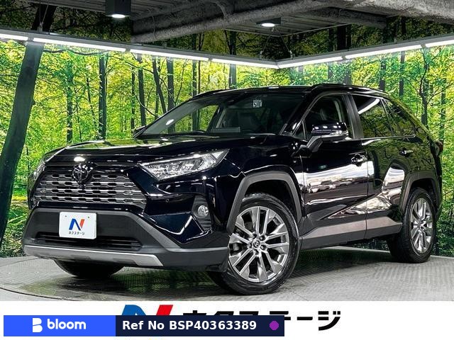 2020 Toyota RAV4