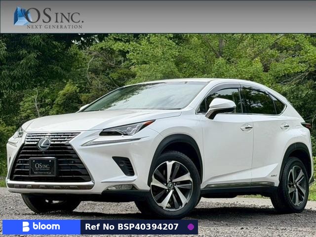 2018 Lexus NX