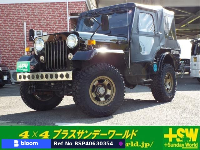 1995 Mitsubishi Jeep