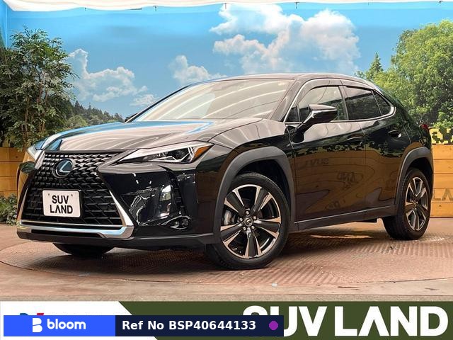 2019 Lexus UX