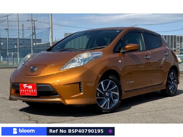2017 Nissan Leaf