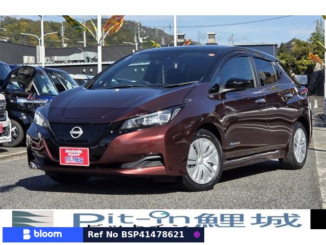 2021 Nissan Leaf