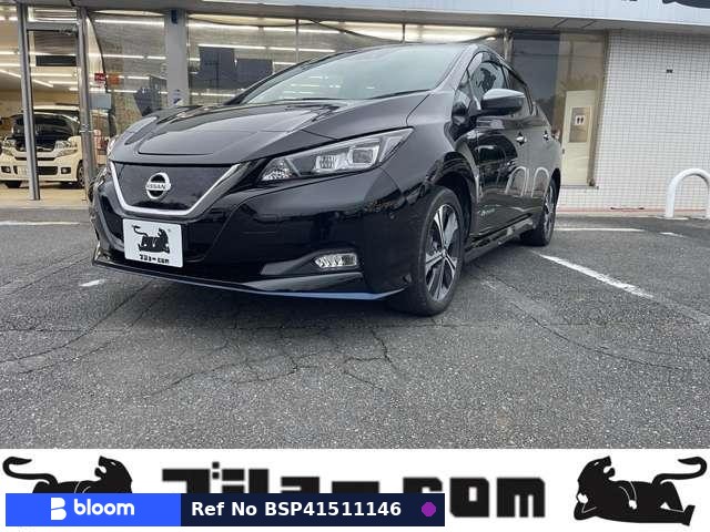 2019 Nissan Leaf