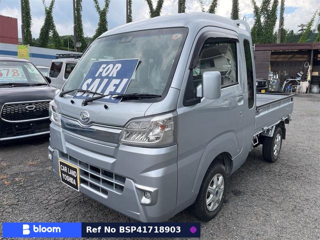 2019 Daihatsu Hijet Truck