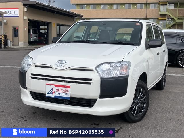 2019 Toyota Succeed Wagon