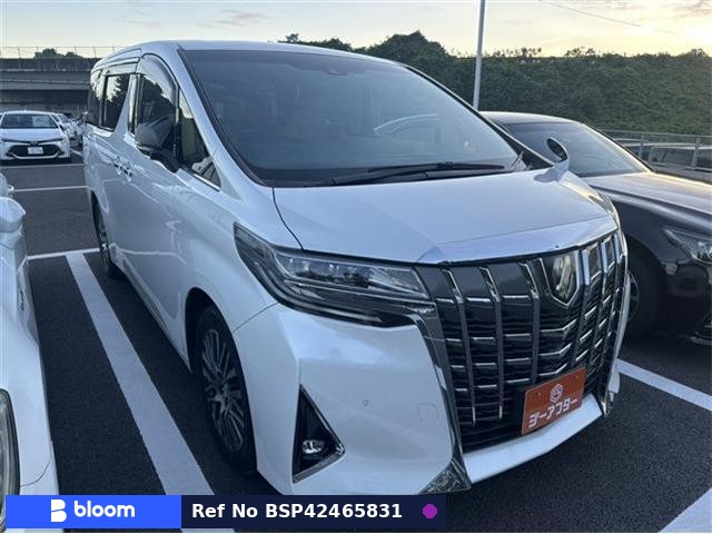 2019 Toyota Alphard