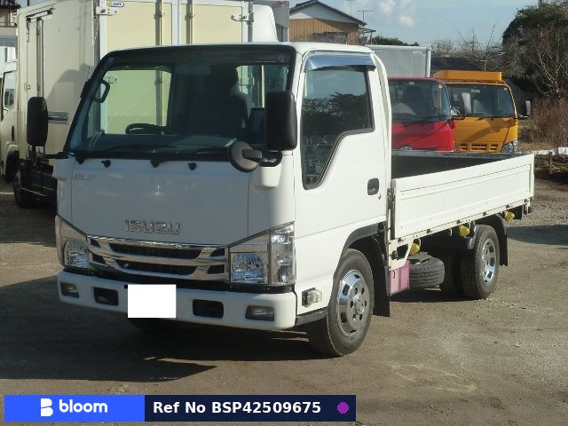 2019 Isuzu ELF Truck
