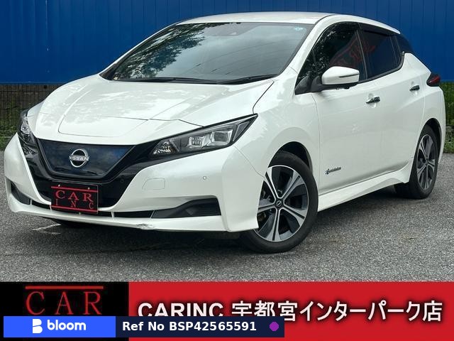 2022 Nissan Leaf