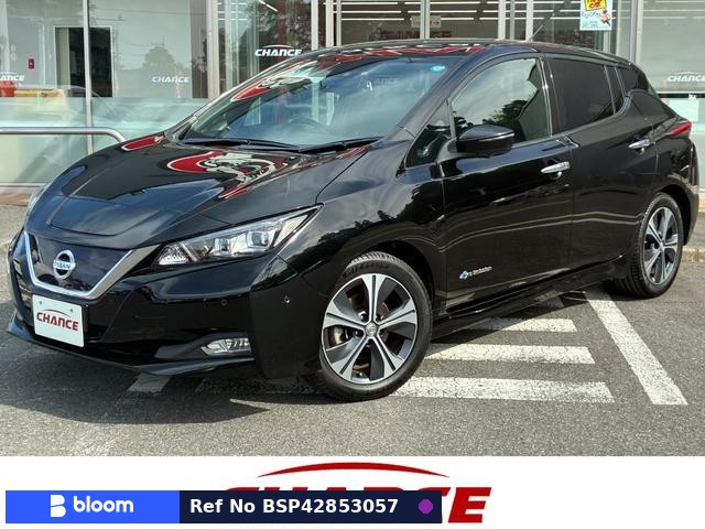 2017 Nissan Leaf