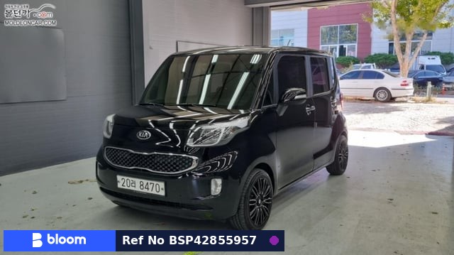 2013 KIA RAY