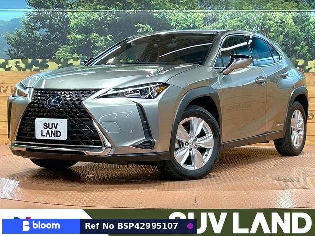 2020 Lexus UX