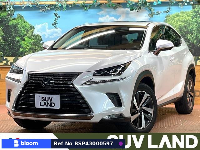 2018 Lexus NX