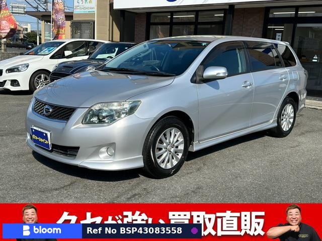 2010 Toyota Corolla Fielder