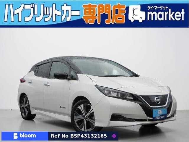 2021 Nissan Leaf