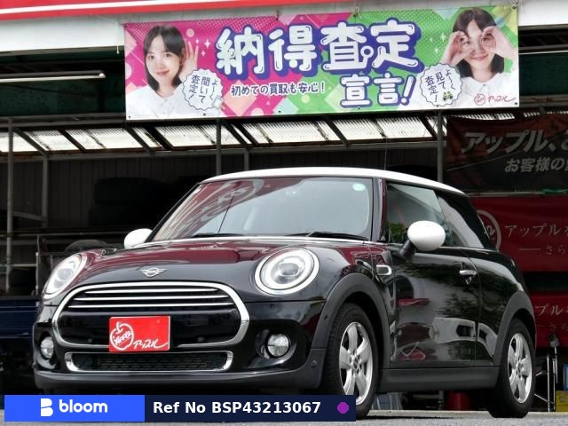 2019 BMW MINI
