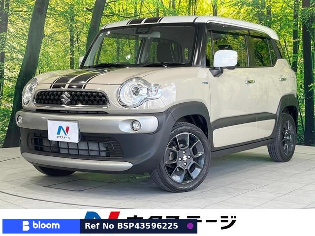 2018 Suzuki X BEE