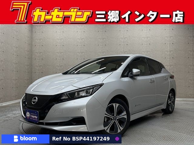 2022 Nissan Leaf