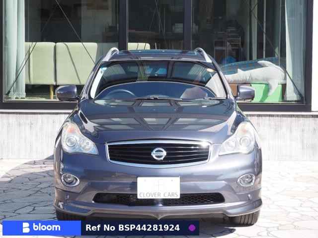 2009 Nissan Skyline Crossover