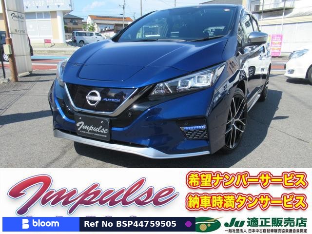 2021 Nissan Leaf