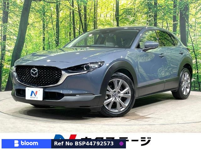 2019 Mazda CX-30