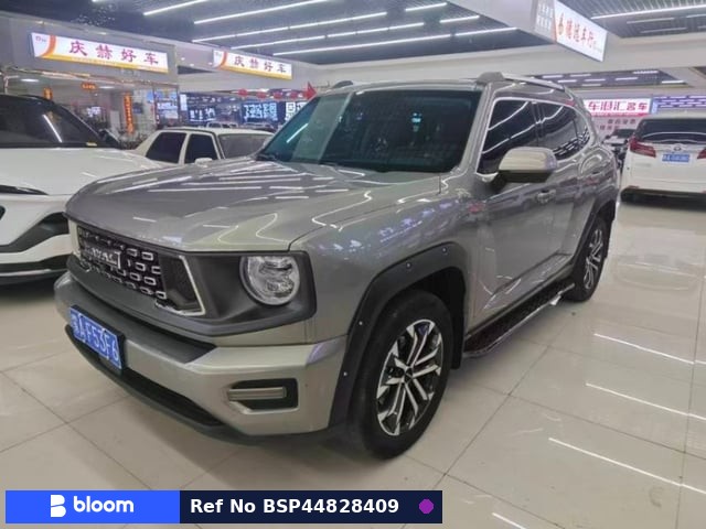 2023 Great Wall Haval Dargo