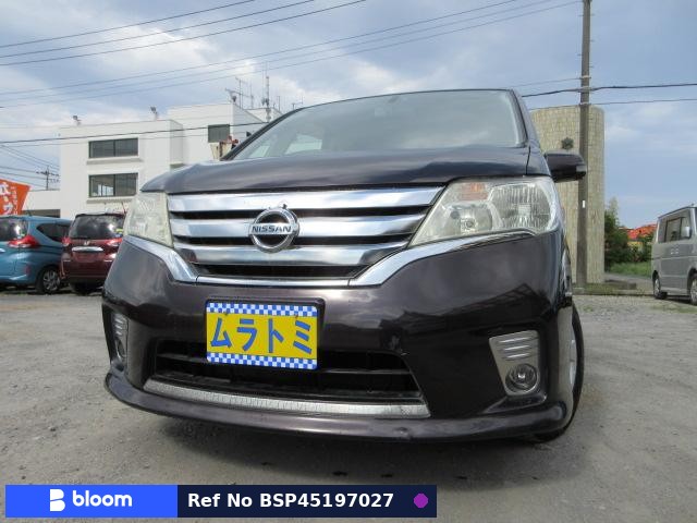2010 Nissan Serena
