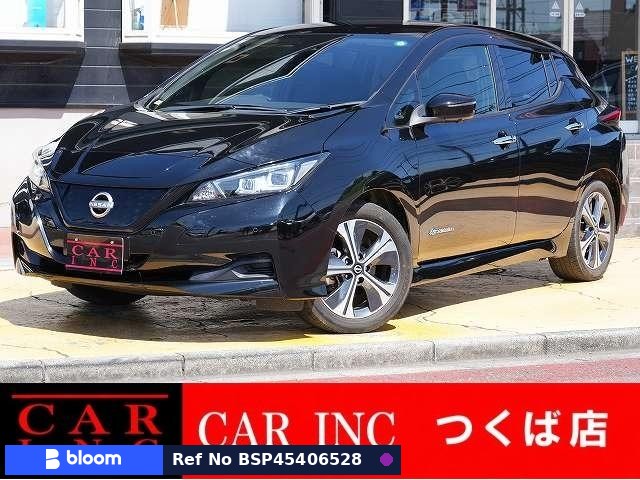 2021 Nissan Leaf