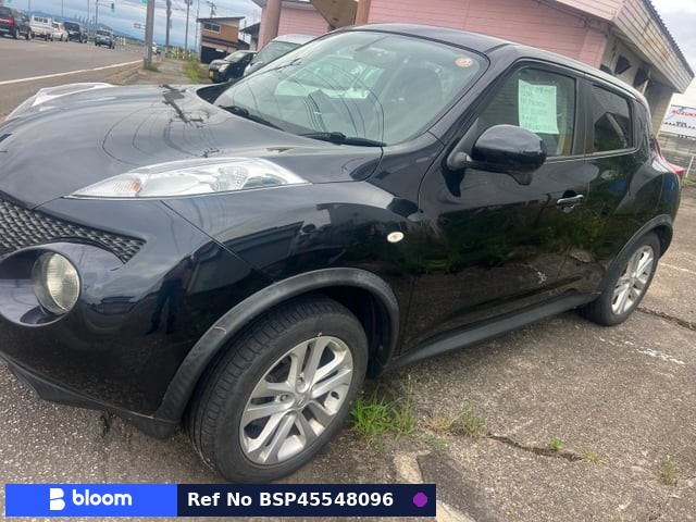 2010 Nissan Juke