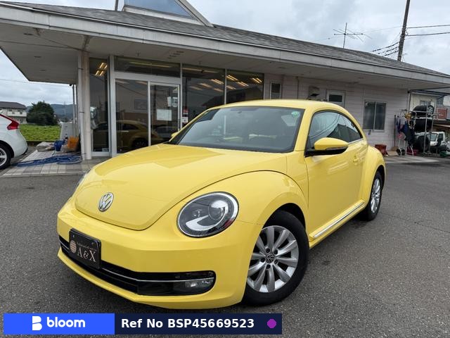 2012 Volkswagen THE Beetle