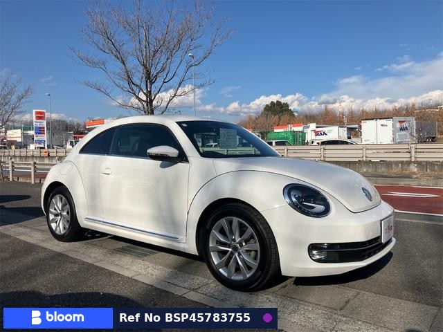 2013 Volkswagen THE Beetle