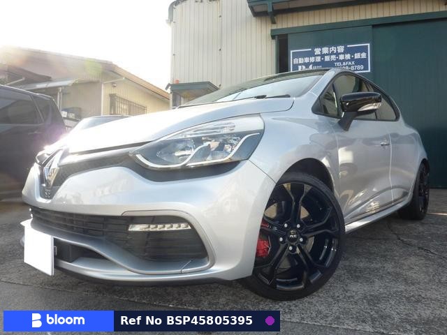 2013 Renault Lutecia