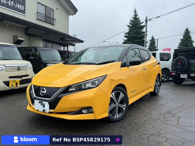 2018 Nissan Leaf