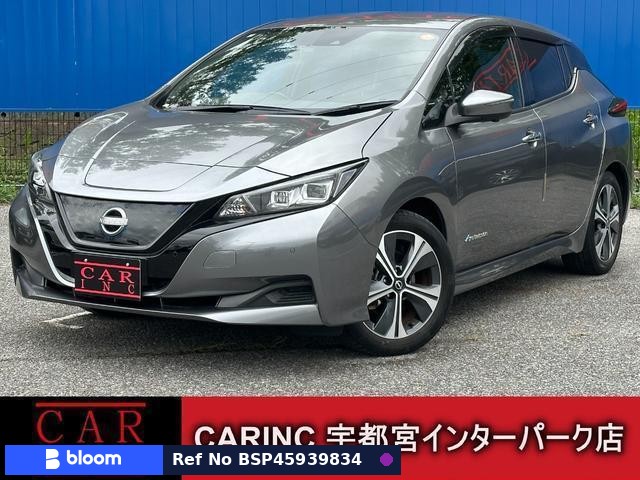2021 Nissan Leaf