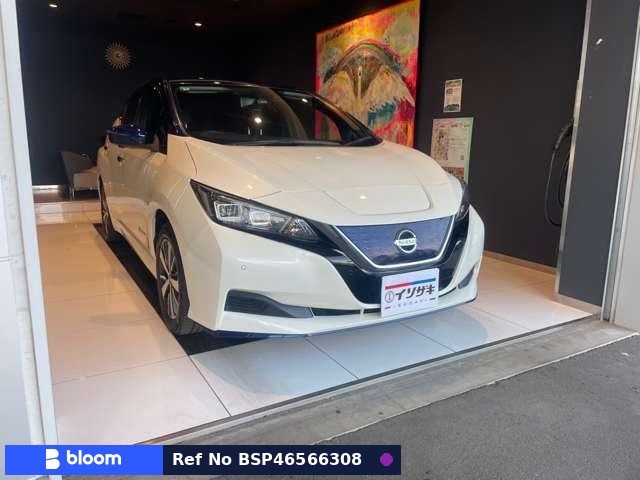 2020 Nissan Leaf