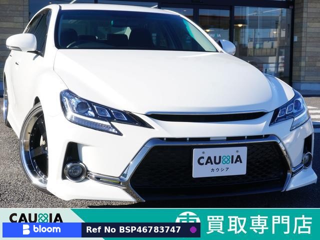 2011 Toyota Mark X