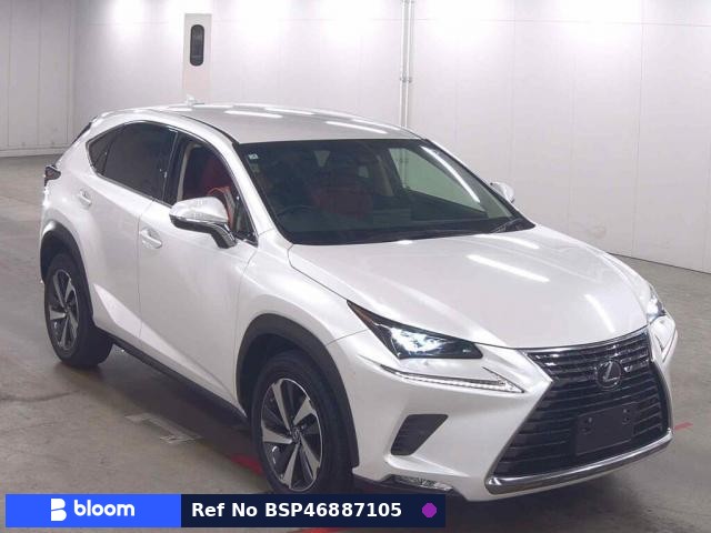 2019 Lexus NX