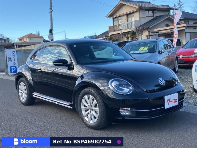 2014 Volkswagen THE Beetle