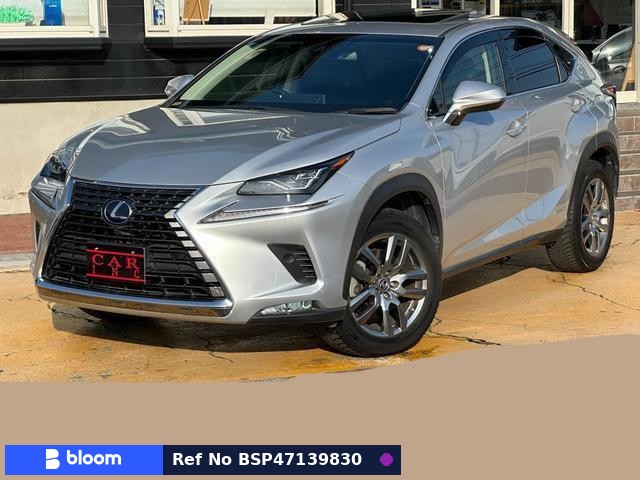 2019 Lexus NX