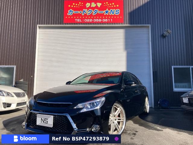 2010 Toyota Mark X