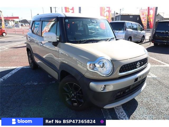 2019 Suzuki X BEE